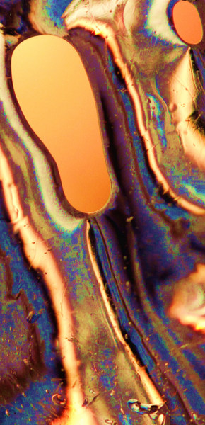 Image #2 of 8: 